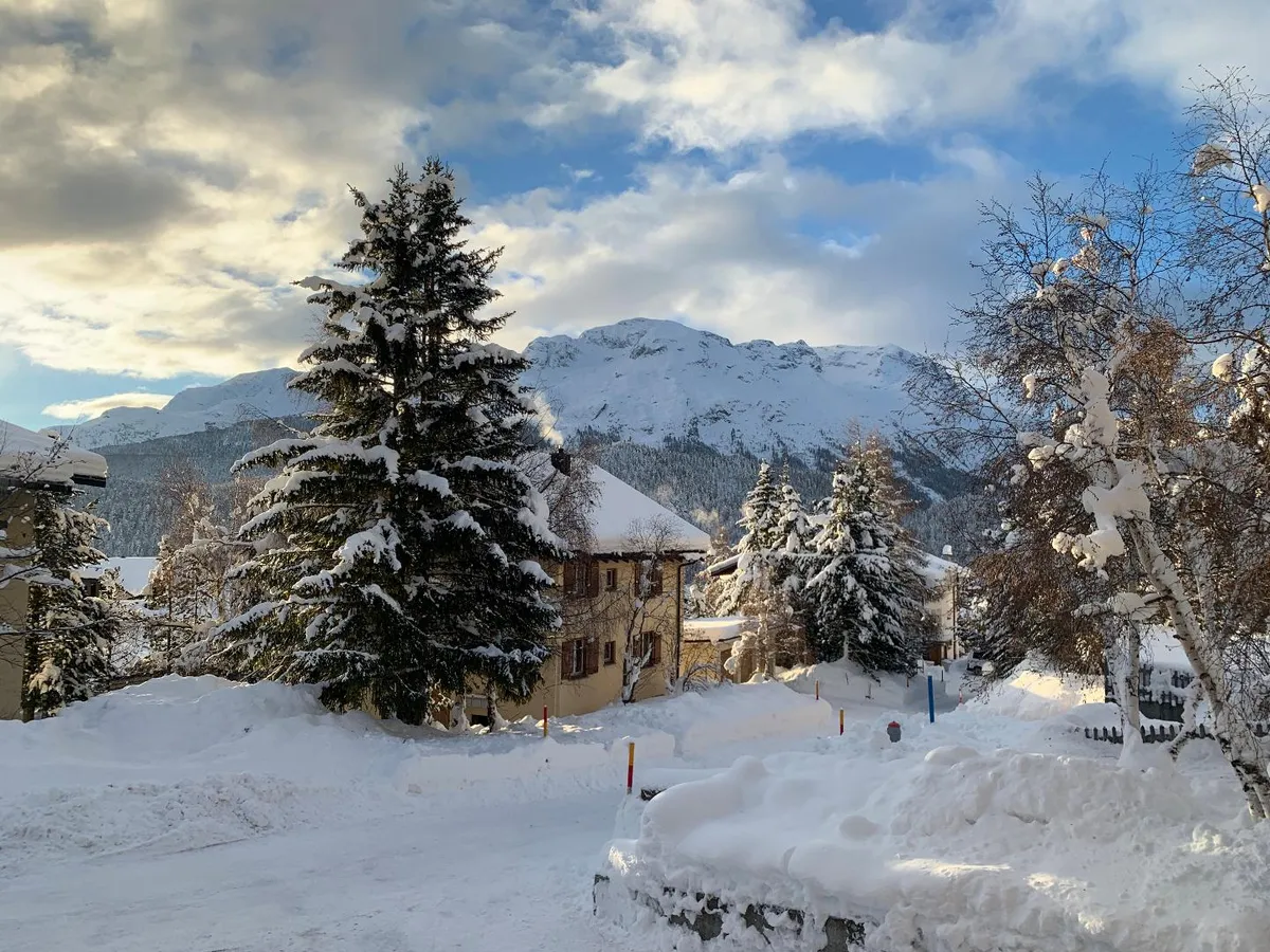 Verschneite Tanne und Häuser vor den Bergen im Winter