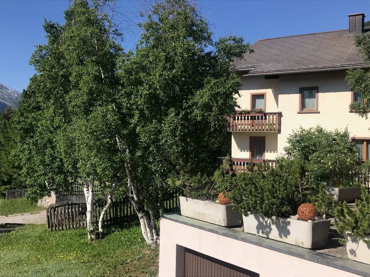 Haus mit Balkonen zwischen Birken und Tannen im Sommer