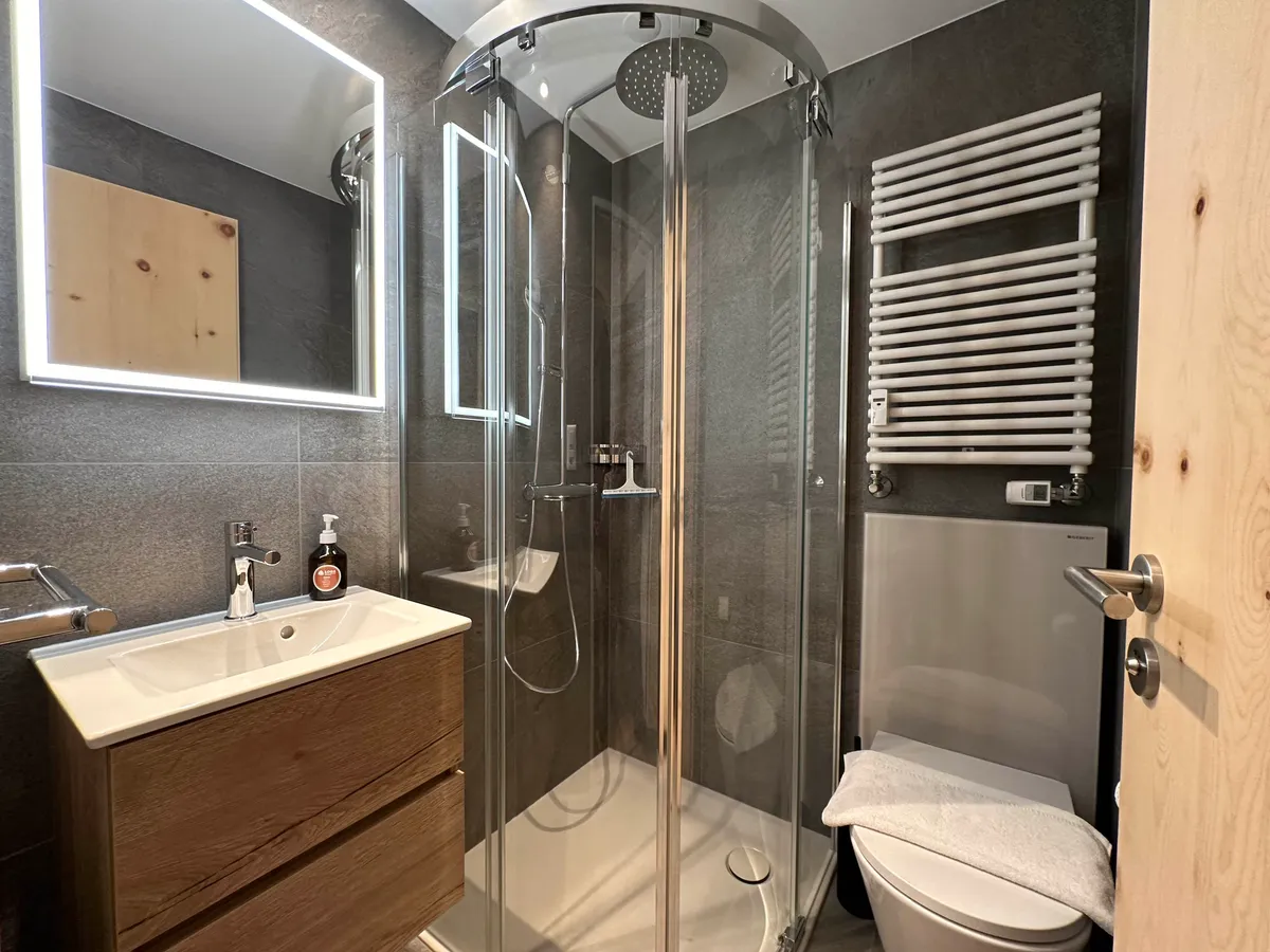 Dusche/WC mit Glasdusche und Lavabo mit Spiegelschrank