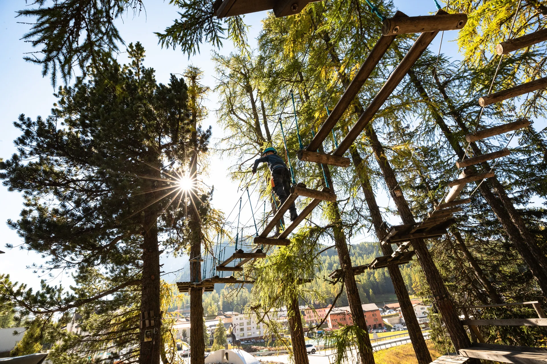 Kletternder im Seilpark zwischen Lärchen in Pontresina