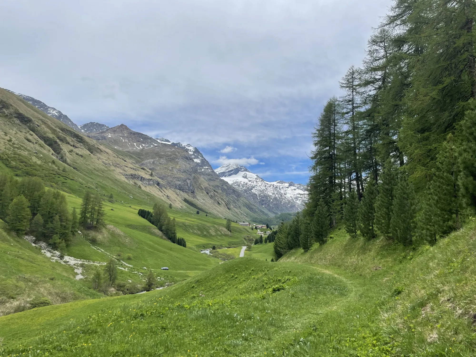 Green valley meadows in Val Fex with larches and snow-capped peaks