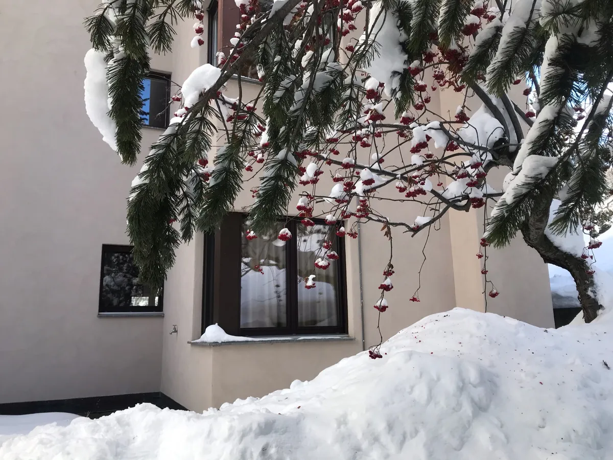 Hausfassade im Winter mit Vogelbeerbaum und Schnee